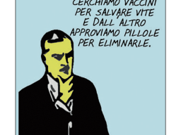 vignetta 8